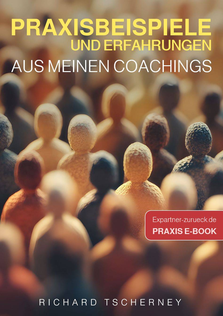 Praxisbeispiele und Erfahrungen aus meinen Coachings